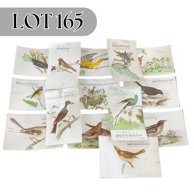 -165- POSTCARD | Assortment Of Bird Postcards