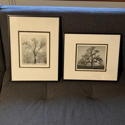Pair of Vintage Framed Ansel Adams Prints - Oak Tree Snowstorm Yosemite & Oak Tree Sunset City