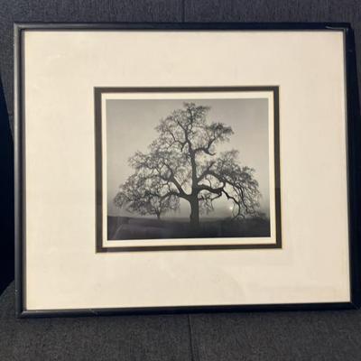 Pair of Vintage Framed Ansel Adams Prints - Oak Tree Snowstorm Yosemite & Oak Tree Sunset City