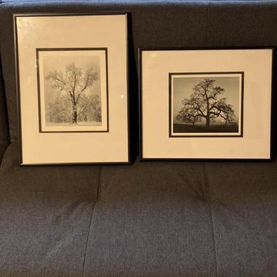 Pair of Vintage Framed Ansel Adams Prints - Oak Tree Snowstorm Yosemite & Oak Tree Sunset City