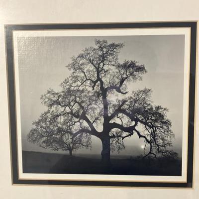 Pair of Vintage Framed Ansel Adams Prints - Oak Tree Snowstorm Yosemite & Oak Tree Sunset City