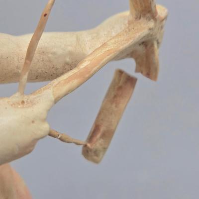 LOT 90L: Liette International Clock and Trinket Box, Coyne's & Company Heavenly Angels Figurine, Enesco Foundations Hail Mary...