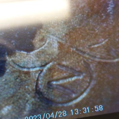 Stuart NYE Sterling Brooch & Ring w/ More Costume Jewelry (ST-BBL)