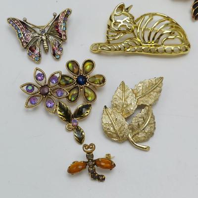 Vintage Costume Jewelry Brooches (ST-BBL)