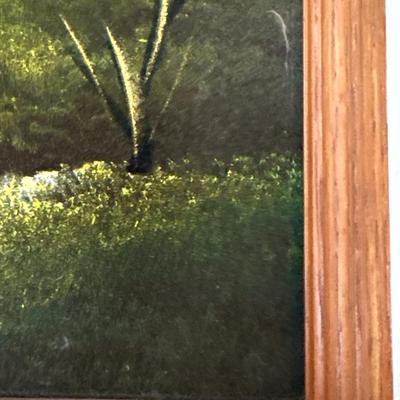 Vintage framed velvet painting