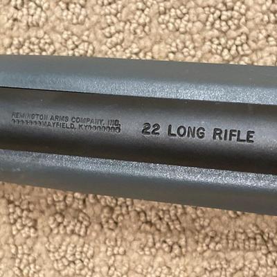 Remington Model 597 22 Long Rifle