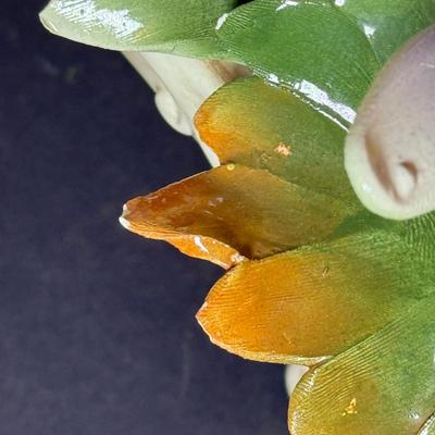 Sale Photo Thumbnail #1081