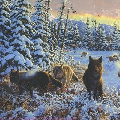 LOT 99: Native America Tarot Deck along with 2 Unopened Puzzles