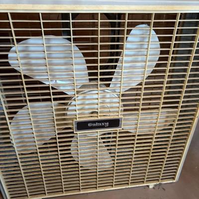 Two clothing, racks, plan, and Samsonite suitcase