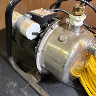 Sumer portable utility pump