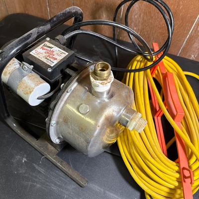Sumer portable utility pump