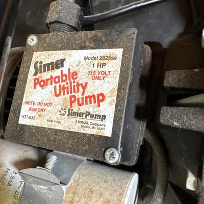Sumer portable utility pump