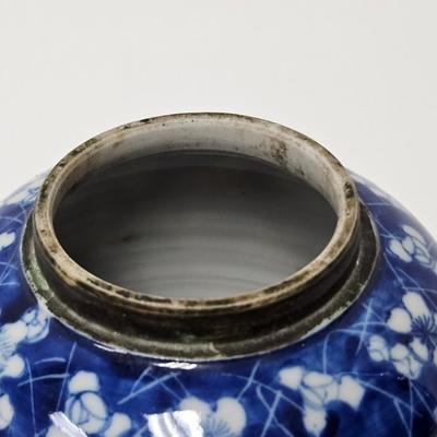 CKEG30. Chinese Ceramic Ginger Jar, Blue & White