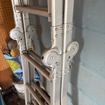 Folding ladder