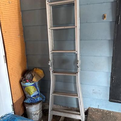 Folding ladder