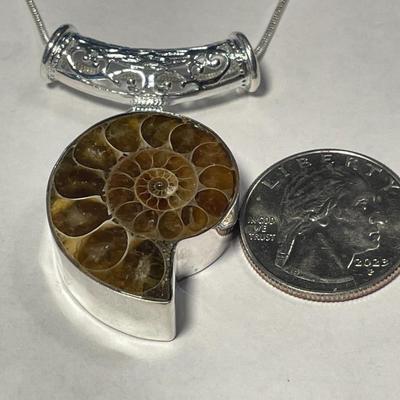 Never Worn Condition Sterling Silver Natural Ammonite Fossil Pendant Bezel Set on Sterling Silver 24" Chain as Pic'd.