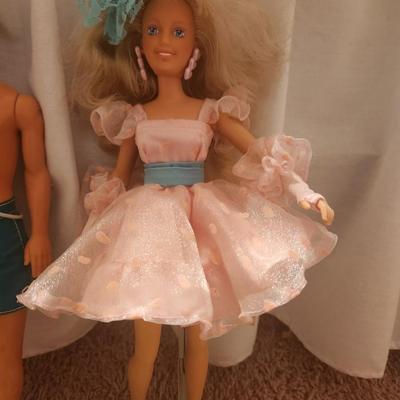 1987-88 Perfect From Maxie Hasbro