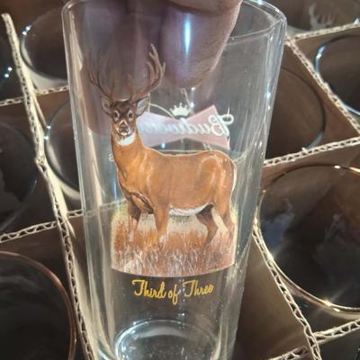 144-Misc Beer and Jameson shot glasses