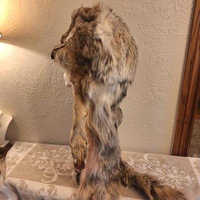 Sale Photo Thumbnail #262