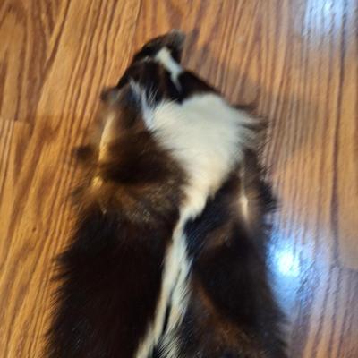 Sale Photo Thumbnail #317