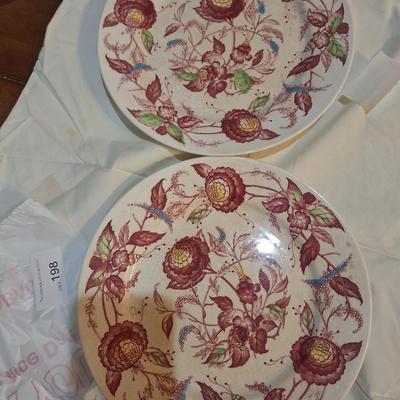 Nasco Desert Flower Dinner plates- set of 2
