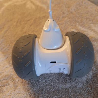 automatic interactive cat toy with a feather attachment