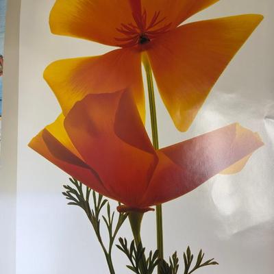 Vintage Fine Art Exhibition Posters Lot  Czanne, Goya, Toulouse-Lautrec, Impressionist & Modern Art Prints