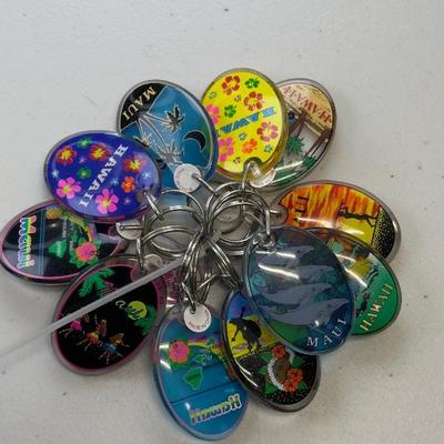  Set Of Acrylic Keychains Featuring Assorted Maui And Hawaii Designs
