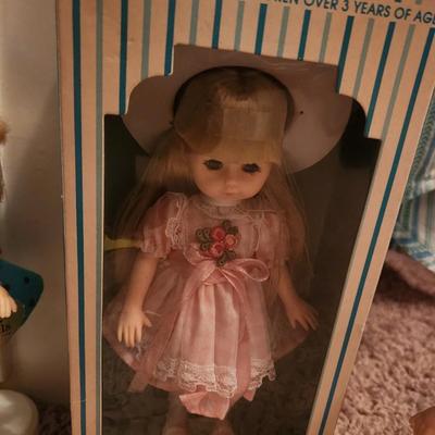 The World of Ginny in the Box