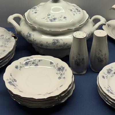 17 pc. Johann Haviland Bavaria Germany China