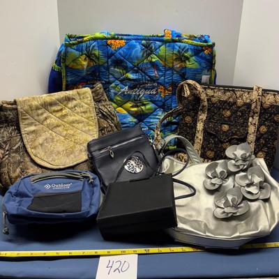 Purse and Bag Lot