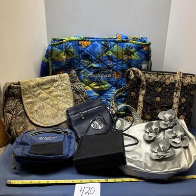 Purse and Bag Lot