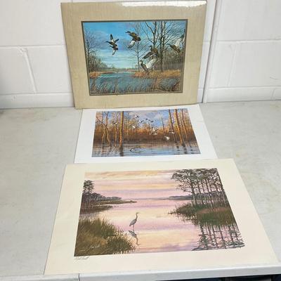 978 Lot of Three Waterfowl Prints