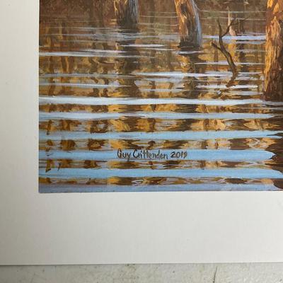 978 Lot of Three Waterfowl Prints