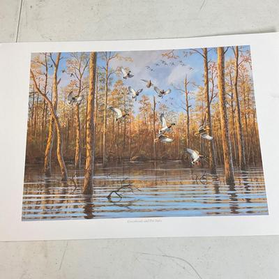 978 Lot of Three Waterfowl Prints