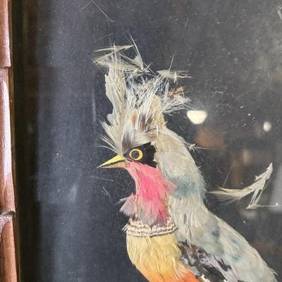 Vintage Mexican Feather Art