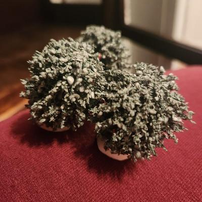 3 Small Green and Red Bushes