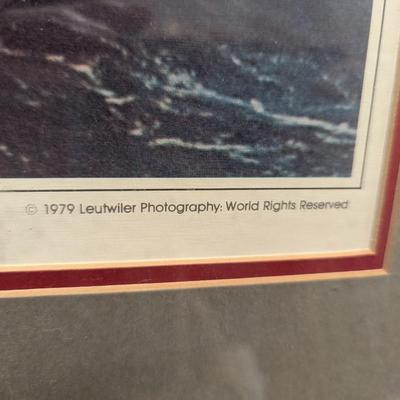 Framed Photograph of sailboat in America’s Cup race, racing yacht Wham Bam, Annapolis. Approx 28" x 18 3/4" #16