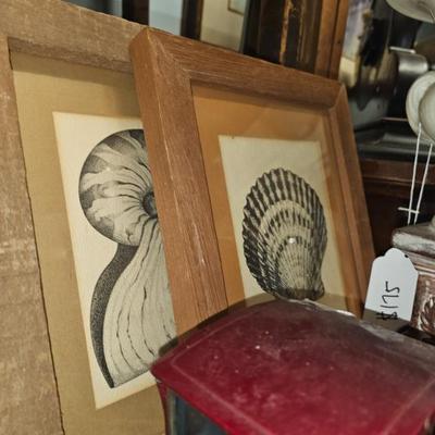 Sale Photo Thumbnail #481