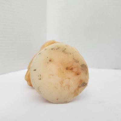 Vintage Owl Candle Molded Wax Figure with Glass Eyes Decorative Halloween Gothic Decor