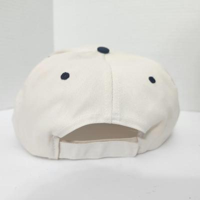 Washington DC USA Strapback Baseball Cap The Nation’s Capital Capitol Patch Travel Souvenir Hat