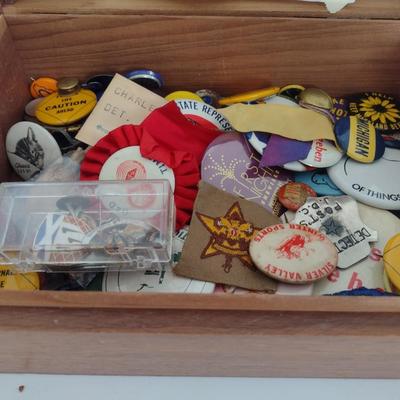 Nice Collection of Statement and Whimsical Pins and Badges with Wood Storage Box