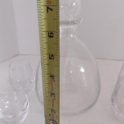 Glass Decanter with Six High Ball Tumblers Strawberry Seed Design