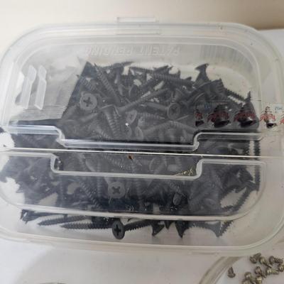 Screws, Nails, Bolts & More Hardware Assortment (G2-JS)