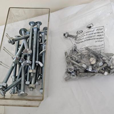 Screws, Nails, Bolts & More Hardware Assortment (G2-JS)