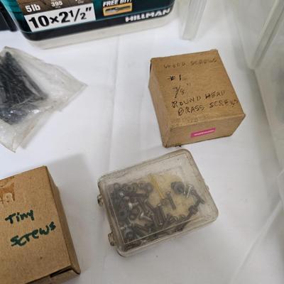 Screws, Nails, Bolts & More Hardware Assortment (G2-JS)