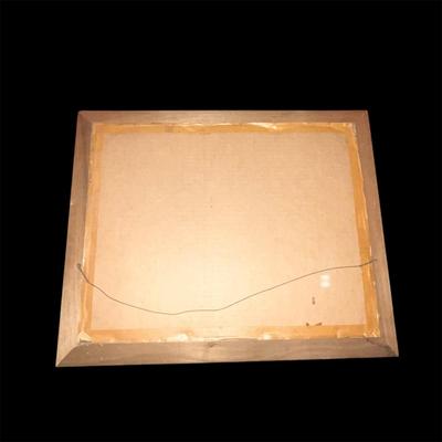 Framed Hemisphaeri Graphicum Coeli Lithograph - Lot #MJ11