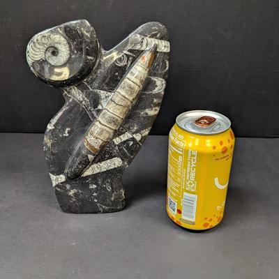 Polished Orthoceras Fossil Display Slab