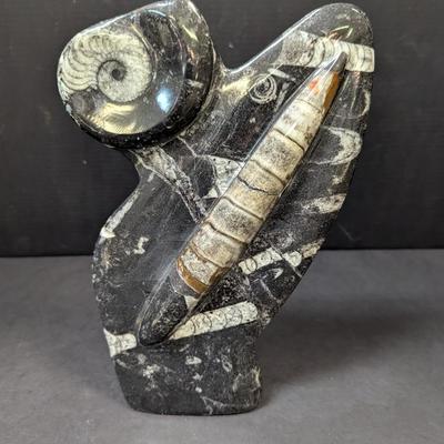 Polished Orthoceras Fossil Display Slab