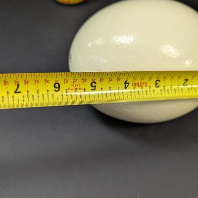 Large Ostrich Egg Hollow